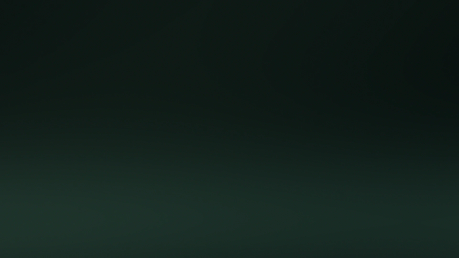 background-deep-pine-fog
